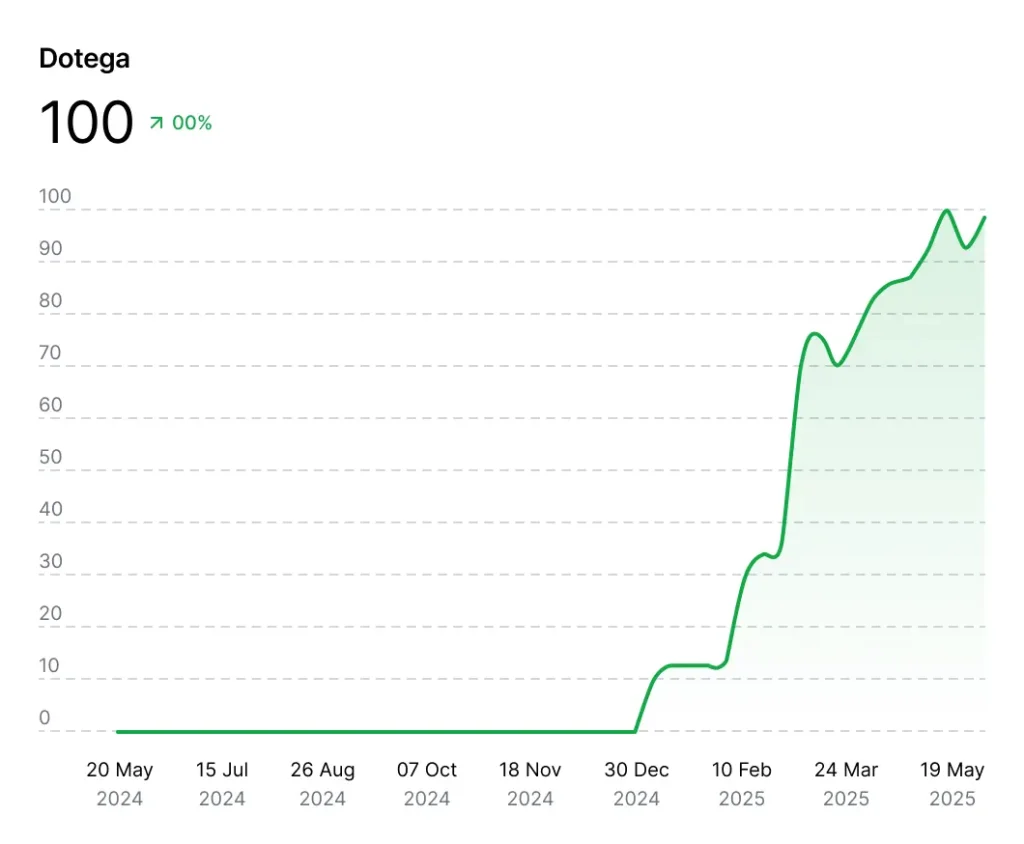 Dotega hat nach wenigen Monaten der Zusammenarbeit mit Rang1 10x mehr Besucher.